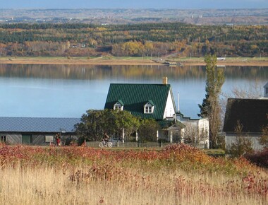 Cottages for rent